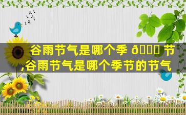 谷雨节气是哪个季 🍀 节,谷雨节气是哪个季节的节气